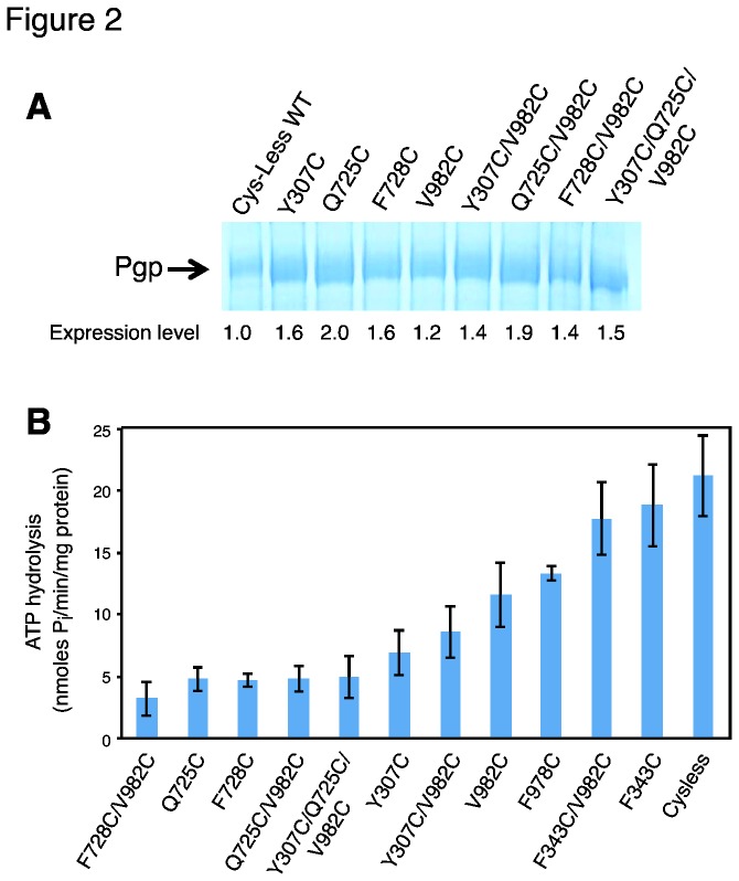 Figure 2