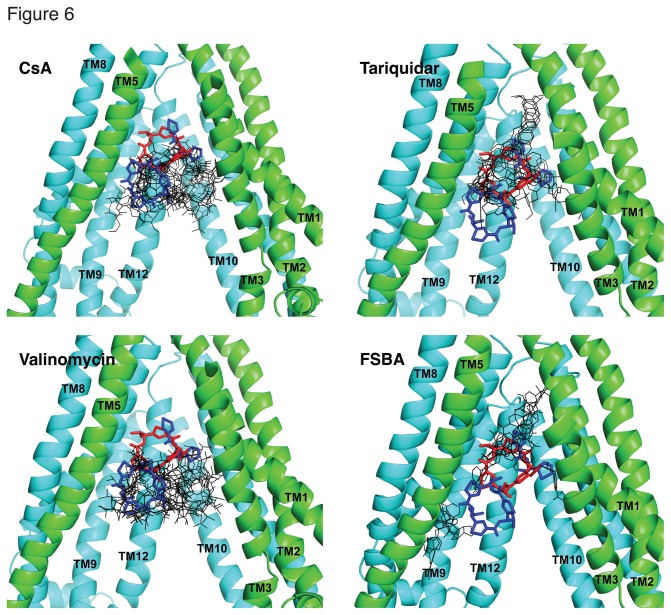 Figure 6