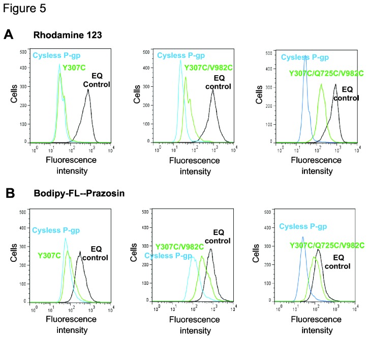 Figure 5