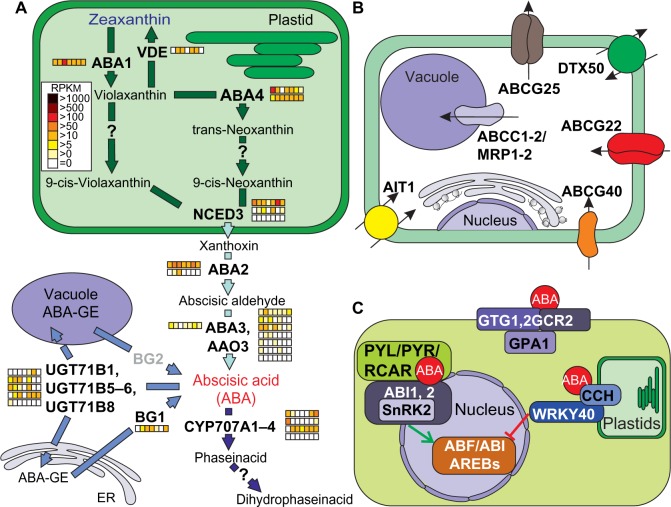 Figure 6