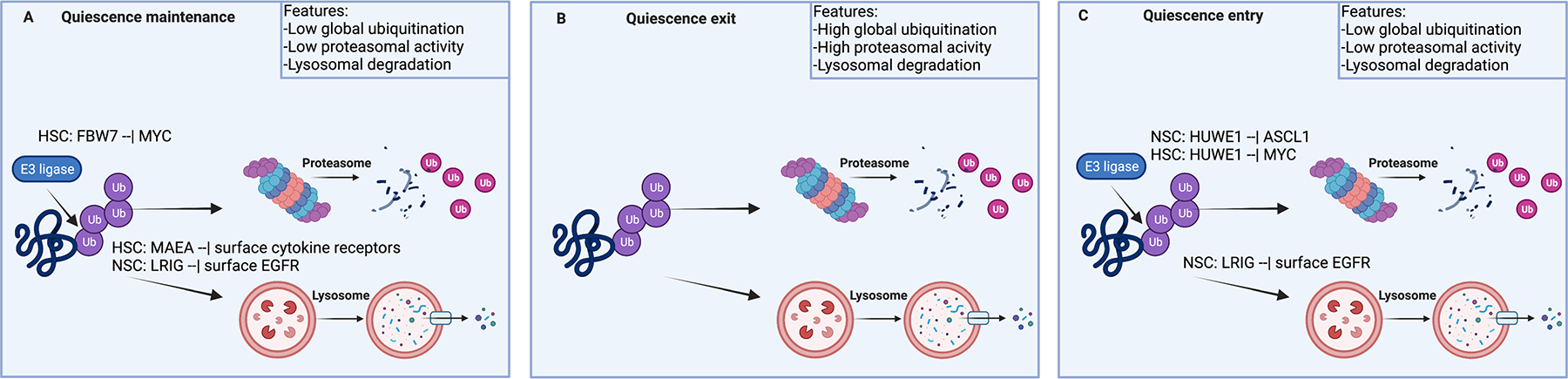 Figure 6: