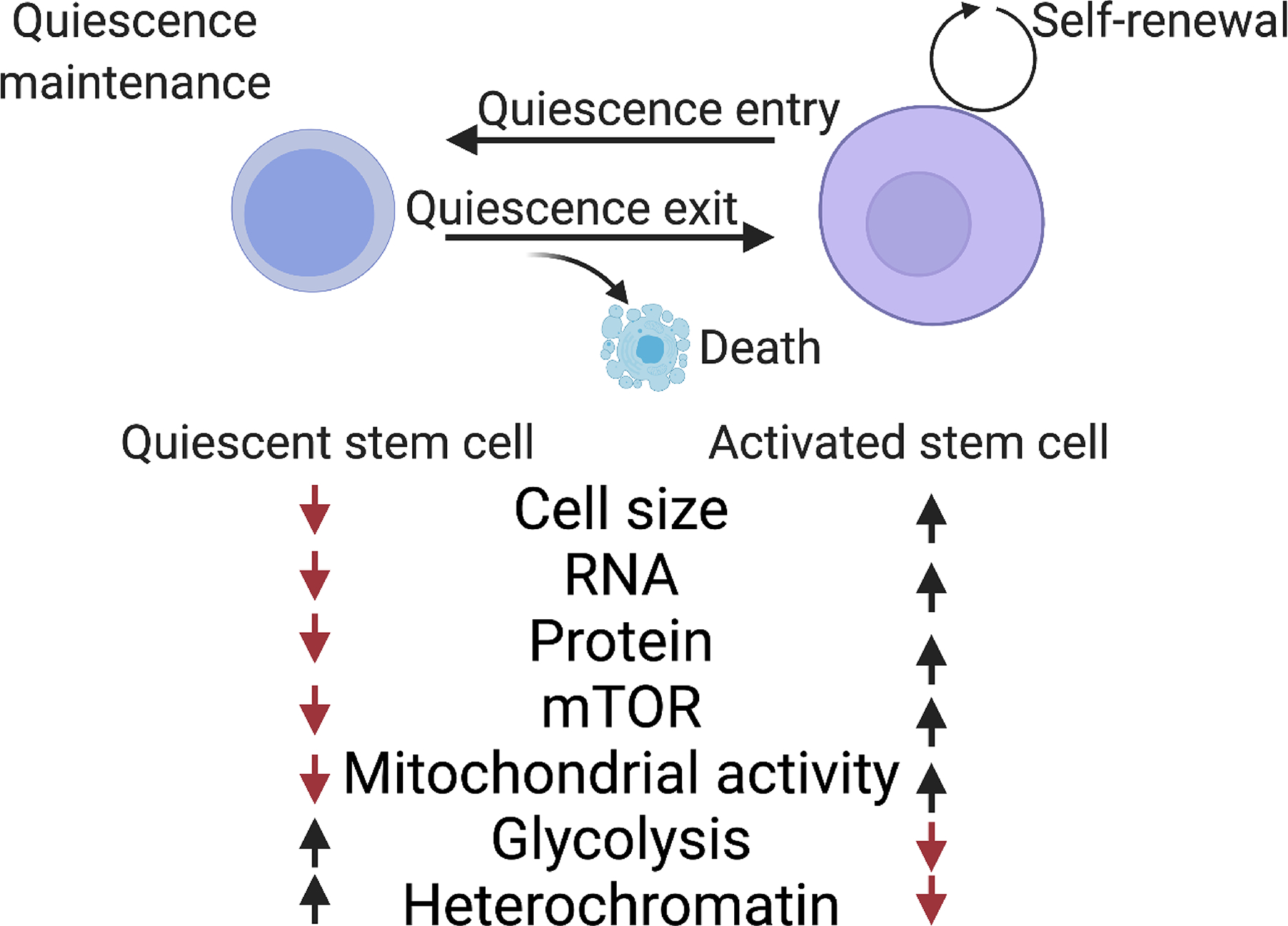 Figure 1: