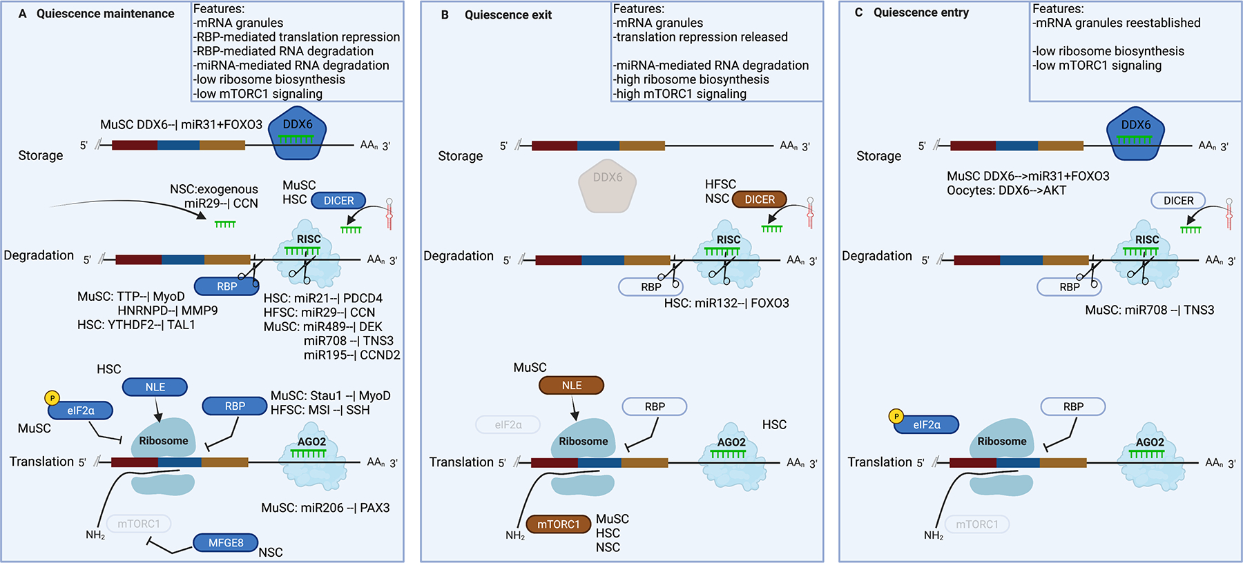 Figure 5: