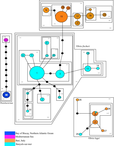 FIG. 1.