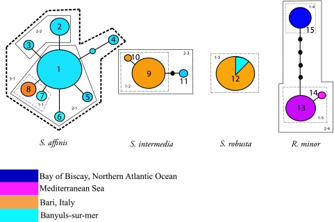 FIG. 2.