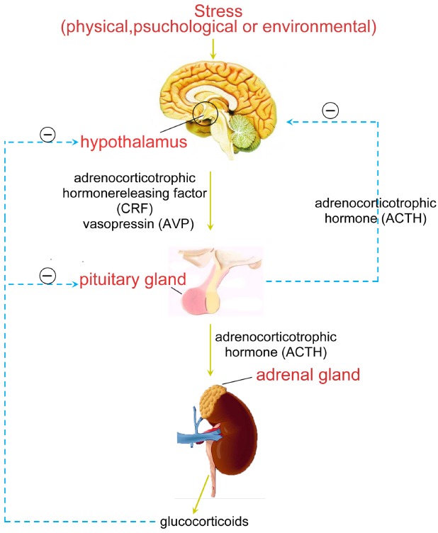 Fig. (1)