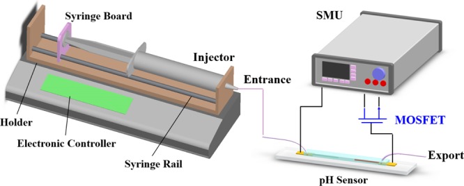 Figure 12