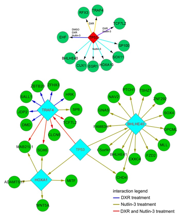 Figure 2.