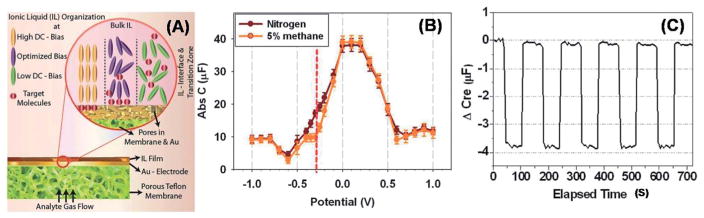 Fig. 10