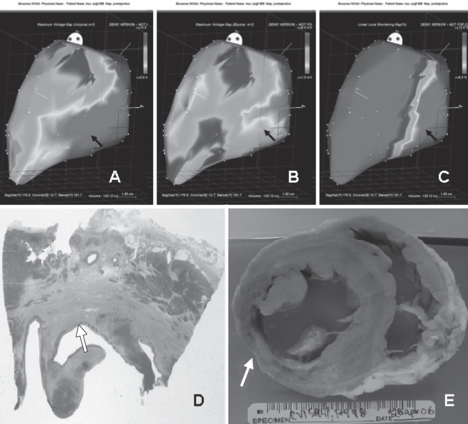 Figure 1)