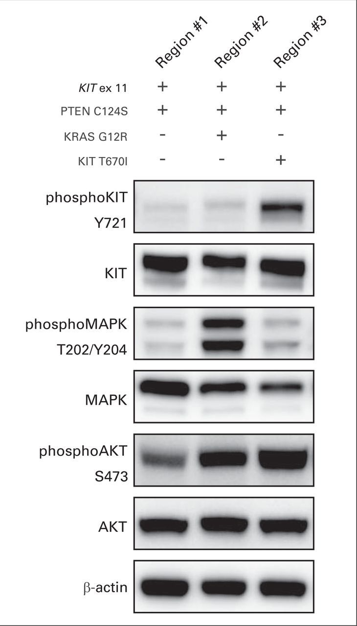 Fig 4.