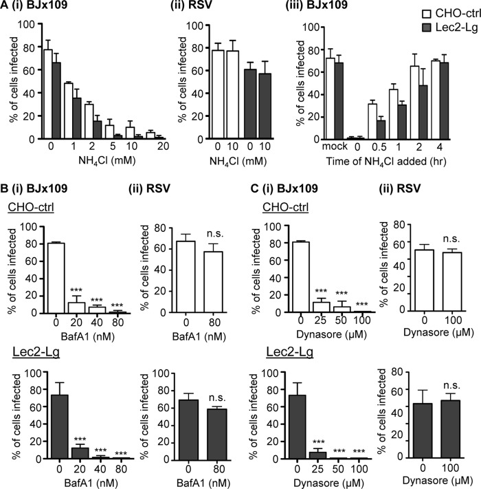 FIG 6