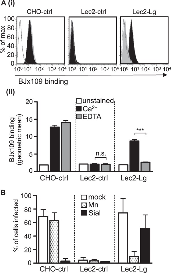 FIG 2