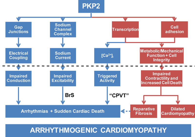 Figure 6: