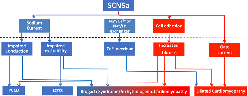 Figure 7: