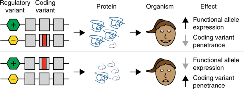 Figure 5: