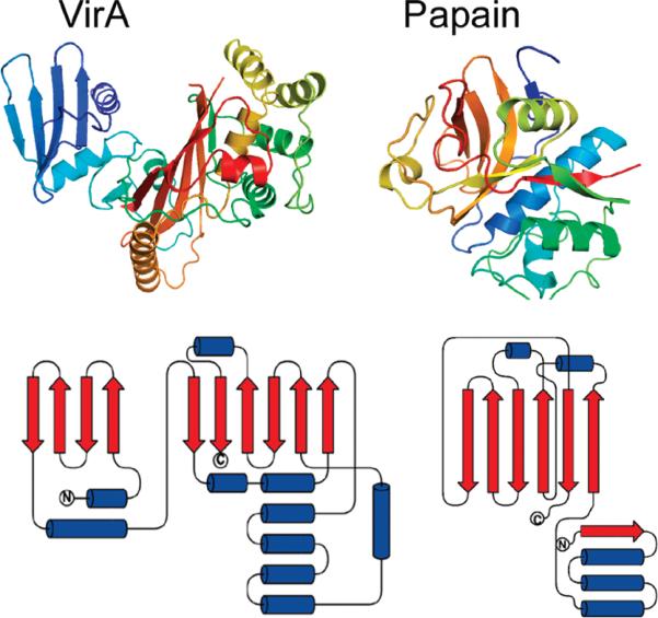 FIGURE 2