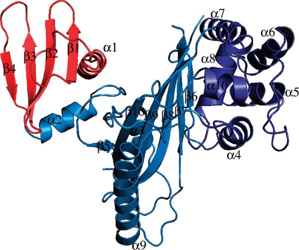 FIGURE 1