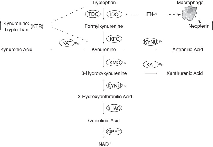 Figure 1.