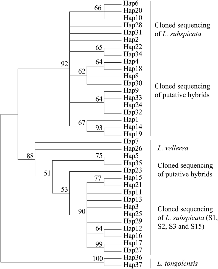 Fig. 1