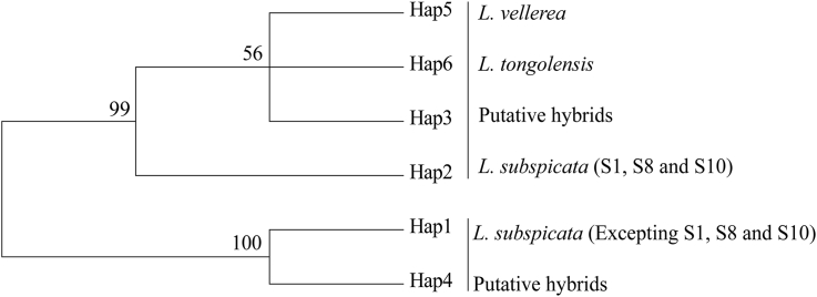 Fig. 2