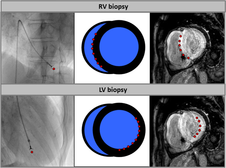 Fig. 4