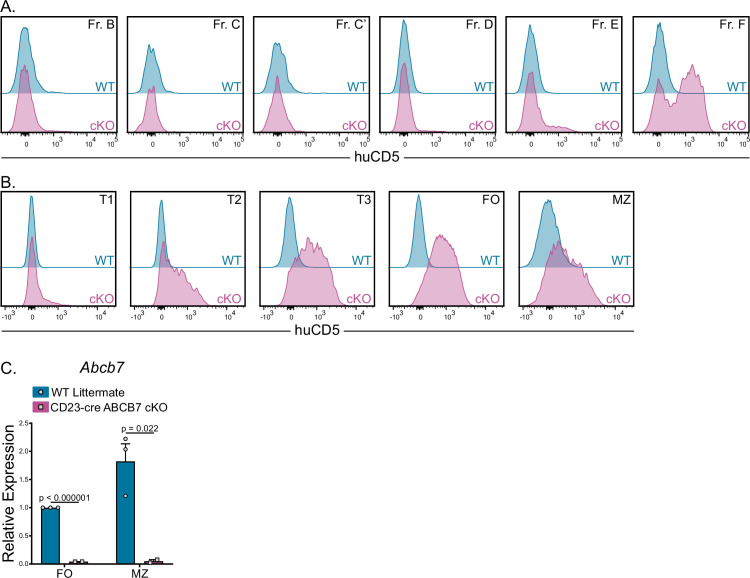 Figure 1—figure supplement 2.