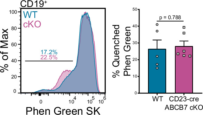 Figure 3—figure supplement 1.