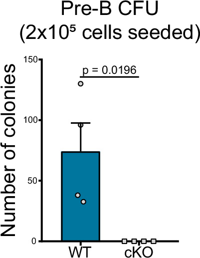 Figure 2—figure supplement 1.