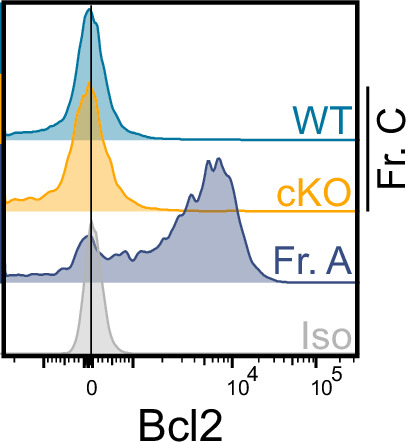 Figure 4—figure supplement 1.