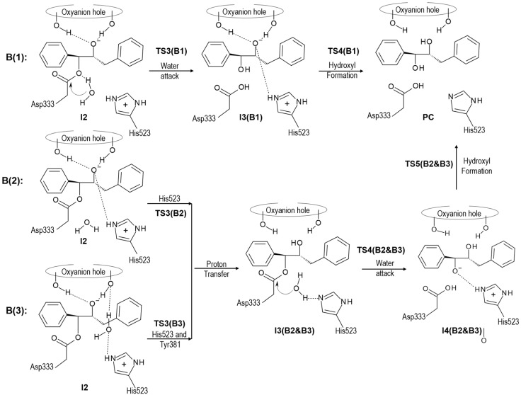 Scheme 4