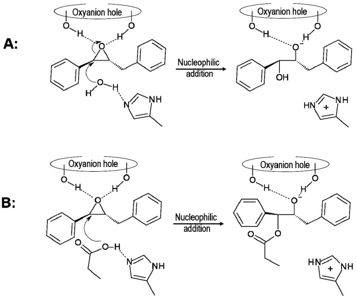 Scheme 3