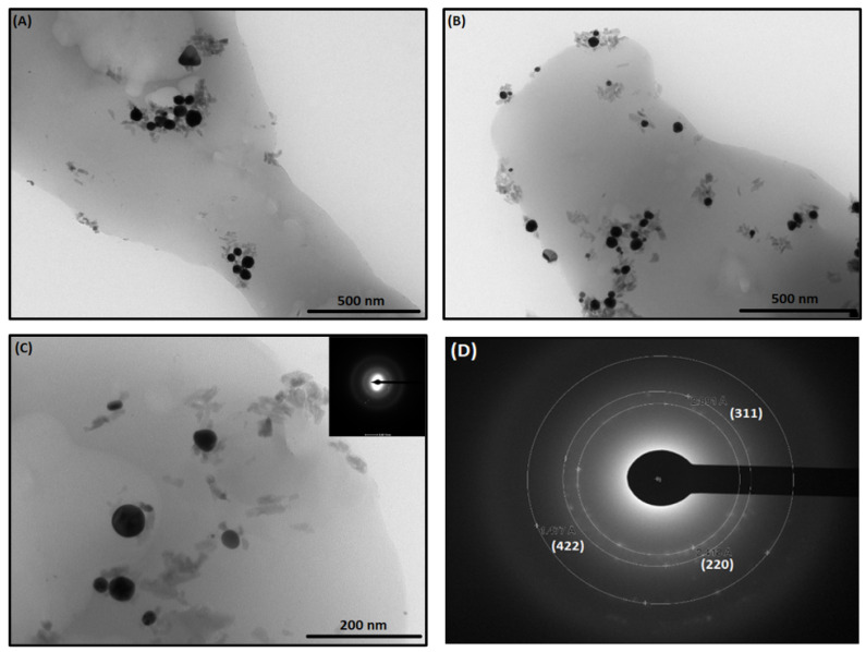 Figure 12