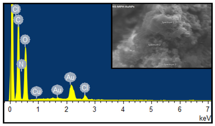 Figure 10