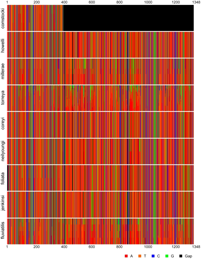 Figure 6