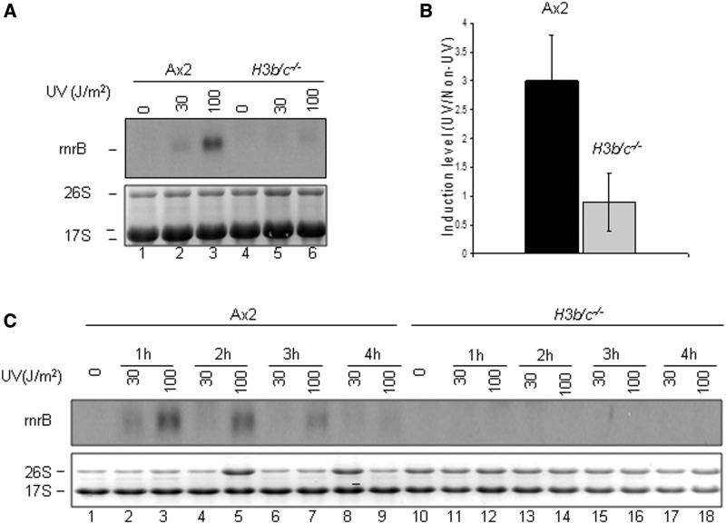 Figure 6.