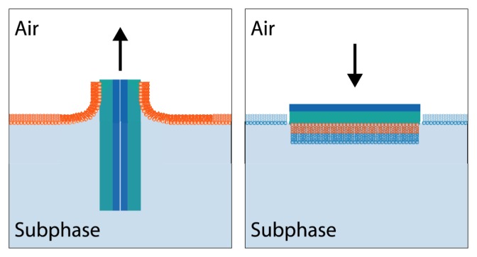 Figure 8