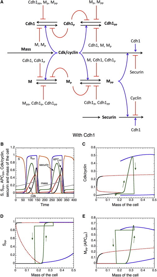 Figure 7