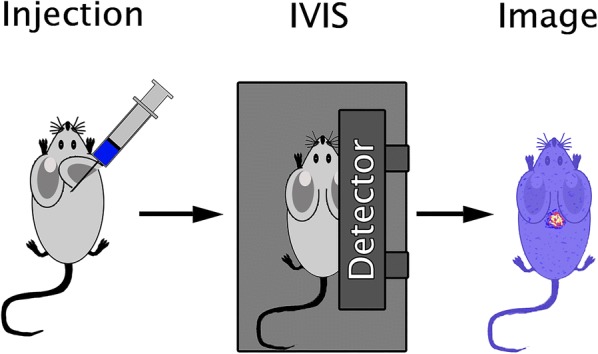 Fig. 1