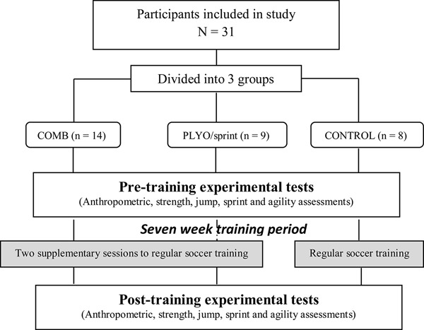 FIGURE 1