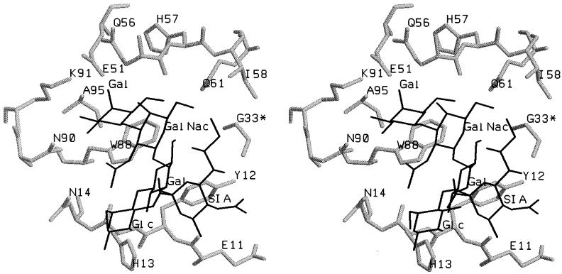 FIG. 9.