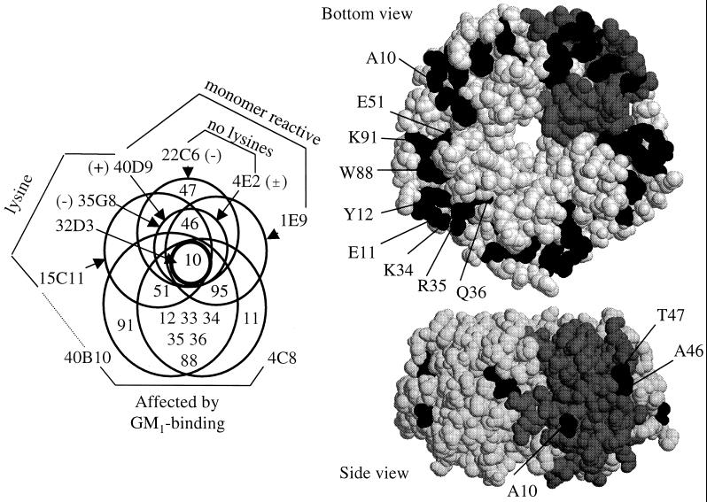 FIG. 8.