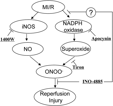 Fig. 8.