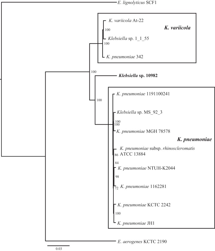 FIG 1