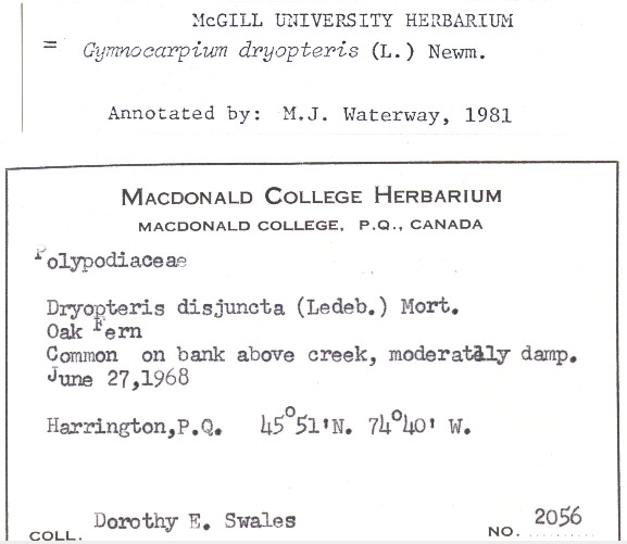 Figure 10b.