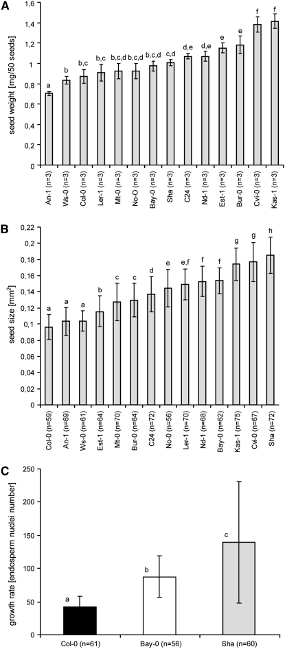 Figure 4.—