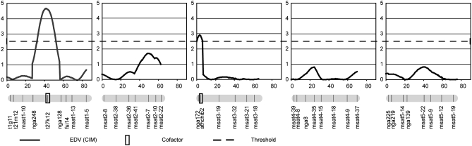 Figure 5.—