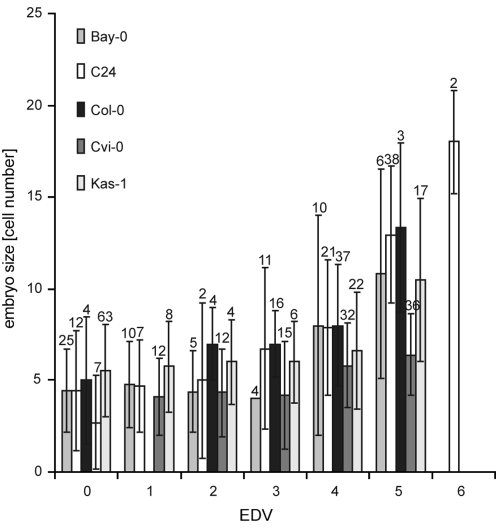 Figure 6.—