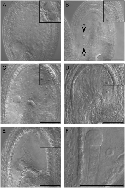 Figure 2.—