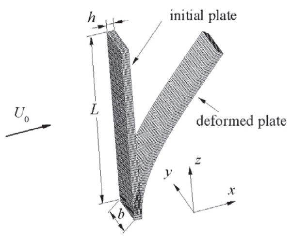 Figure 11